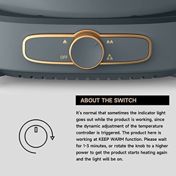 Dezin Electric Hot Pot - Dual Flavor 5.5L Cooker