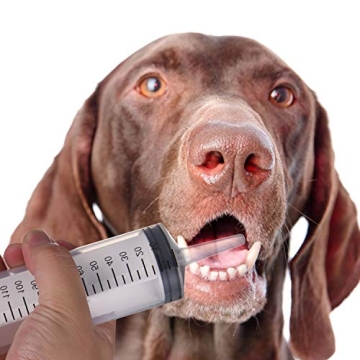 Versatile Large Syringes for Refilling and Crafting