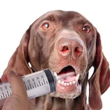 Versatile Large Syringes for Refilling and Crafting