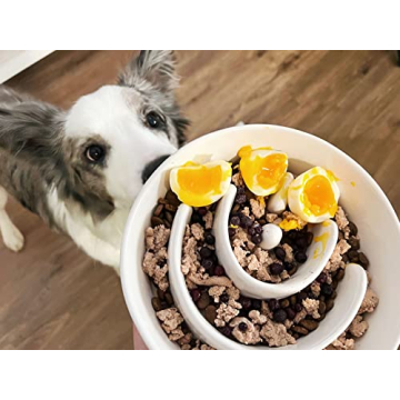 Ceramic Dog Slow Feeder Bowl | 1.5 Cups Puzzle Design