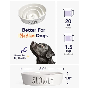 Ceramic Dog Slow Feeder Bowl | 1.5 Cups Puzzle Design