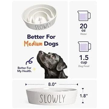 Ceramic Dog Slow Feeder Bowl | 1.5 Cups Puzzle Design