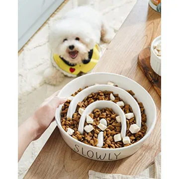 Ceramic Dog Slow Feeder Bowl | 1.5 Cups Puzzle Design