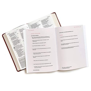 Seamless Bible Study: One Complete Story for Faith Renewal