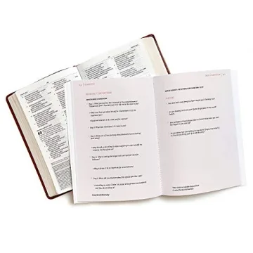 Seamless Bible Study: One Complete Story for Faith Renewal