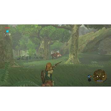 The Legend of Zelda: Breath of the Wild - Wii U