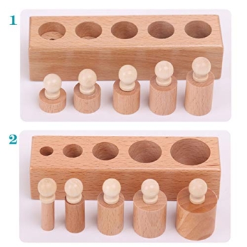 Thoth Montessori Knobbed Cylinder Blocks | Educational Wooden Toy
