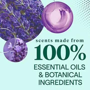 Seventh Generation Lavender Mint Dish Soap Liquid Pack of 6