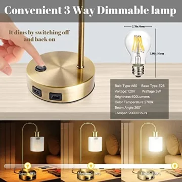 Gold Industrial USB Dimmable LED Table Lamps Set of 2