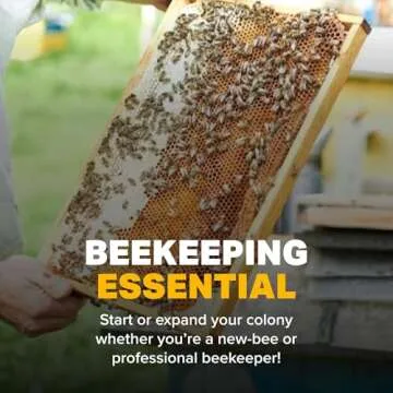 Mann Lake Pollen Substitute Dry Feed, High Protein, Boosts Brood, Healthy Colony, Beekeeper Essential, Free from Animal by-Products, Rich in Vitamins & Amino Acids, 1 Lb Canister