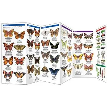 Butterflies & Moths Pocket Guide for Nature Enthusiasts