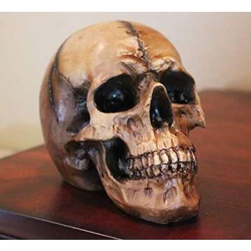 Seraphic Spooky Scary Old Looking Human Skull Decor Statue/Sculpture for Halloween Haunted House Prop Decorations, Life Size, Brown