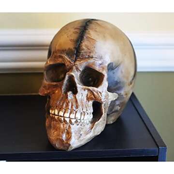 Seraphic Spooky Scary Old Looking Human Skull Decor Statue/Sculpture for Halloween Haunted House Prop Decorations, Life Size, Brown