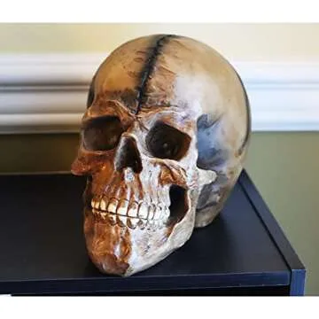 Seraphic Spooky Scary Skull Decoration for Halloween