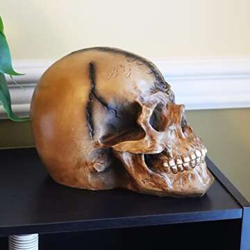 Seraphic Spooky Scary Old Looking Human Skull Decor Statue/Sculpture for Halloween Haunted House Prop Decorations, Life Size, Brown
