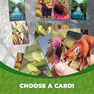 Ecosystem Card Game: Learn Ecology While You Play!