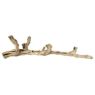 Koyal Wholesale 18" Natural Grapevine, Sandblasted Reptile Wood Branches, Terrarium Grapewood, Reptile Branch, Grapewood Branch, Grapevine Wood for Wedding Centerpieces, Branch Decor