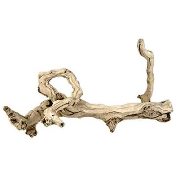 Koyal Wholesale 18" Natural Grapevine, Sandblasted Reptile Wood Branches, Terrarium Grapewood, Reptile Branch, Grapewood Branch, Grapevine Wood for Wedding Centerpieces, Branch Decor