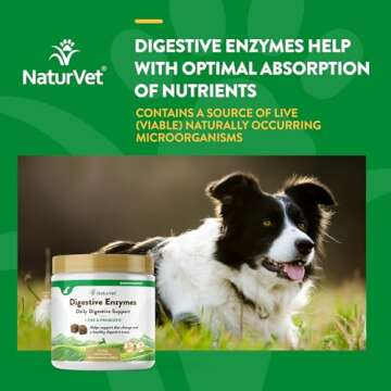 NaturVet – Digestive Enzymes - Plus Probiotics & Prebiotics – Helps Support Diet Change & A Healthy Digestive Tract – for Dogs & Cats (Soft Chews, 120 Count)