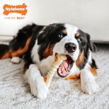 Nylabone Chew & Treat Toy - Durable & Refillable Treats for Dogs