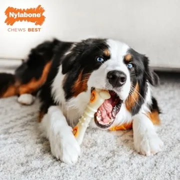 Nylabone Chew & Treat Toy - Durable & Refillable Treats for Dogs