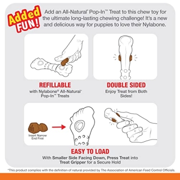 Nylabone Chew & Treat Toy - Durable & Refillable Treats for Dogs