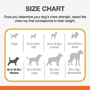 Nylabone Chew & Treat Toy - Durable & Refillable Treats for Dogs