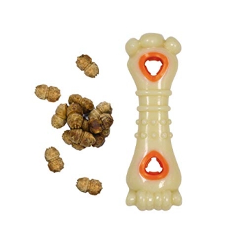 Nylabone Chew & Treat Toy - Durable & Refillable Treats for Dogs