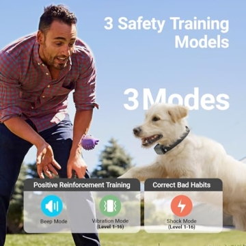 BARKIE Waterproof Dog Training Collar with Remote Blue