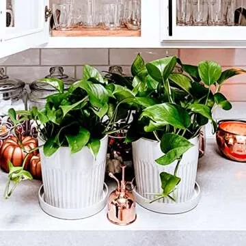 Stylish Indoor Plant Mister | Copper Spray Bottle for Plants