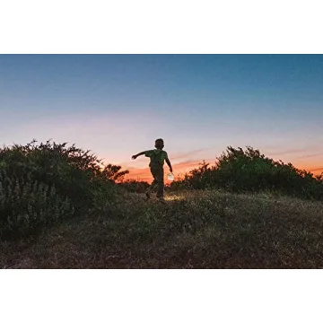 MPOWERD Luci Outdoor 2.0 Solar Lantern for Camping