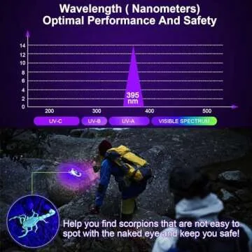 REALHUNLEE UV Flashlight Black Light, 100 LED Blacklight Flashlite Dry Pet Dog/Cat Urine Stains Detector, Bed Bug, Resin Curing, Scorpions Finder