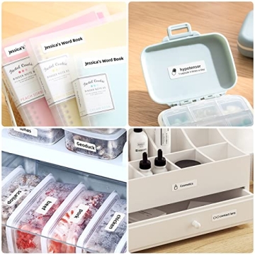 NIIMBOT D110 Portable Thermal Label Maker for Smart Printing