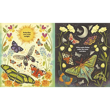 What's Inside a Caterpillar Cocoon?: And Other Questions About Moths & Butterflies