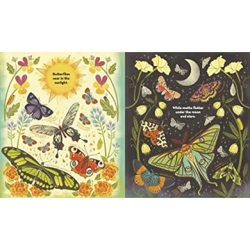 What's Inside a Caterpillar Cocoon?: And Other Questions About Moths & Butterflies