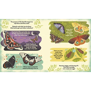 What's Inside a Caterpillar Cocoon?: And Other Questions About Moths & Butterflies