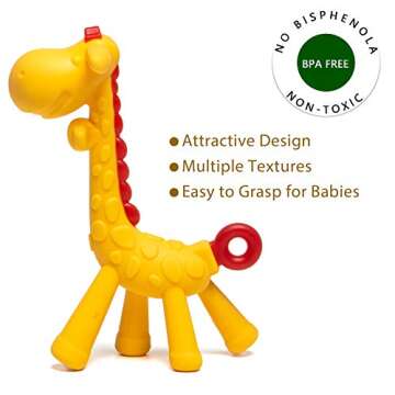 HONGTEYA Teething Toys for Babies 0-6 Months 6-12 Months 6 Pack- 4 Teethers, 2 Fruit Feeders for New...