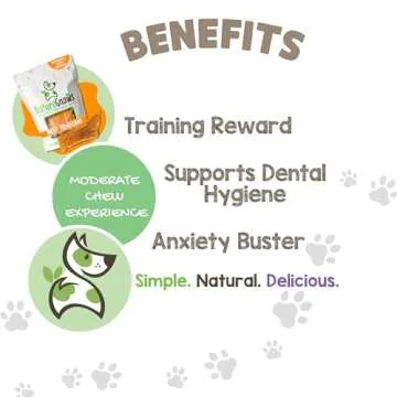 Nature Gnaws Beef Paddywack Tendons for Dogs 5-6" (10 Count) - Long Lasting for Aggressive Chewers - Natural Beef Dog Chew Bones - Rawhide Free