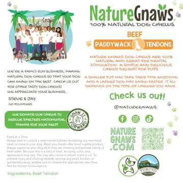 Nature Gnaws Beef Paddywack Tendons for Dogs 5-6" (10 Count) - Long Lasting for Aggressive Chewers - Natural Beef Dog Chew Bones - Rawhide Free