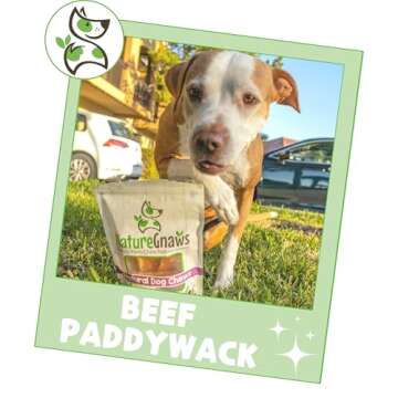 Nature Gnaws Beef Paddywack Tendons for Dogs 5-6" (10 Count) - Long Lasting for Aggressive Chewers - Natural Beef Dog Chew Bones - Rawhide Free