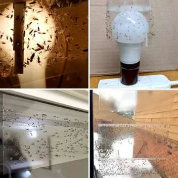 LFSYS 35 XL Window Fly Trap - Non-Toxic Indoor Solution