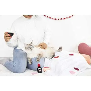 Trendy Pearhead Cat Cheese and Wine Toy Set for All Cats