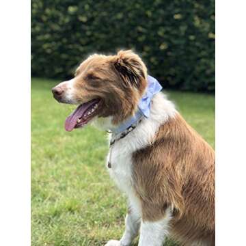 Unique Style Paws Pet Soft &Comfy Bowtie Dog Collar and Cat Collar Pet Gift for Dogs and Cats 6 Size and 7 Patterns