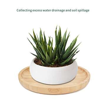 ANOTION Bamboo Plant Saucers - Durable & Stylish Set of 2