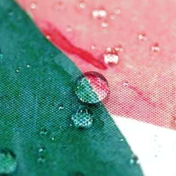 Colorful Lifeel Peach Shower Curtain 72x72 inch Waterproof