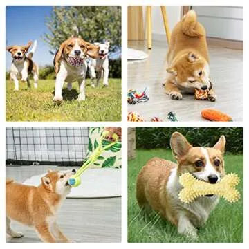 Puppy Toys 20 Pack, Puppy Chew Toys for Teething, Pet Dog Toothbrush Chew Toys for Puppy, Indestructible Pet Interactive Tug of War Squeaky Rope Toys for Puppies Small Medium Breed Chewers