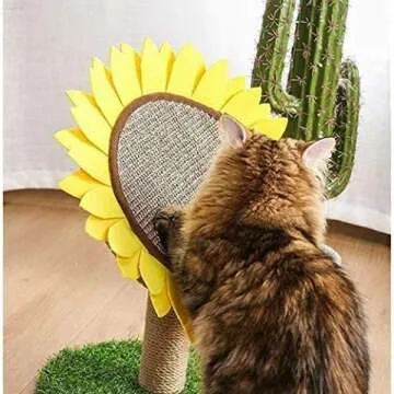 Lovely Caves Cat Scratching Post for Kittens
