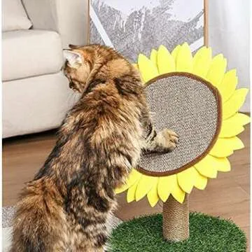 Lovely Caves Cat Scratching Post for Kittens