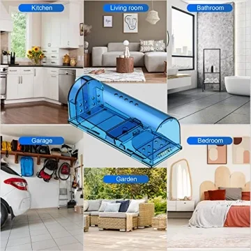 Humane Mouse Traps Safe for Pets Family 4 Pack