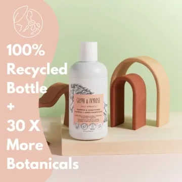 Gryph and IvyRose Daily Embrace 2-in-1 Sulfate Free and Paraben Free Shampoo and Conditioner - Soft Hair Hydration Shampoo/Conditioner - Goji Berry & Ginger (1-Pack)